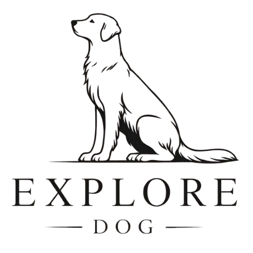 Explore Dog
