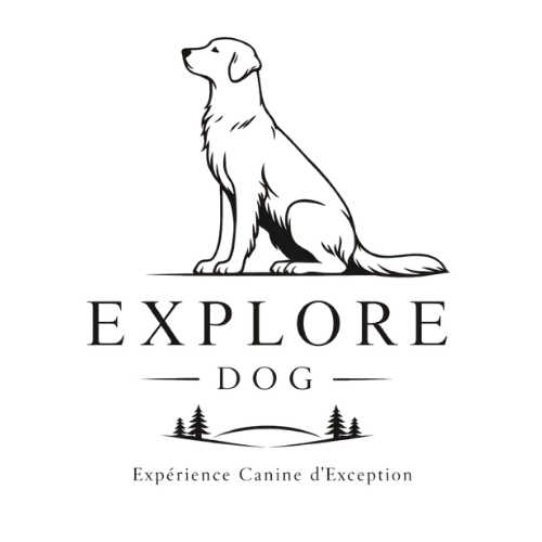 Explore Dog